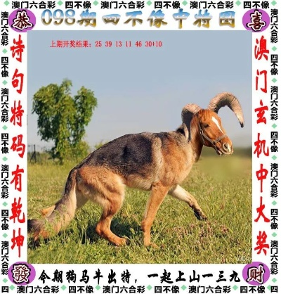 今晚正版四不像一肖图软件优势|探索生活中的小确幸_过度集.3.602
