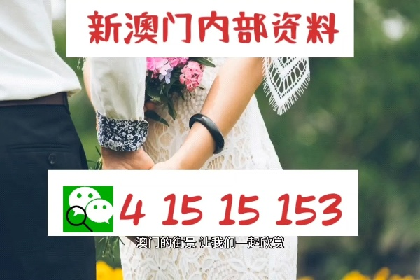 新澳精准资料免费提供网站有哪些|探索未知的美丽旅程_经典款.3.822